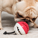 Cabo de Guerra para Cães – PupHappy