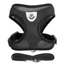Coleira Ajustável para Cães e Gatos – StreetPet™