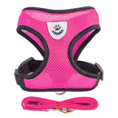 Coleira Ajustável para Cães e Gatos – StreetPet™
