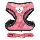 Coleira Ajustável para Cães e Gatos – StreetPet™