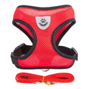 Coleira Ajustável para Cães e Gatos – StreetPet™