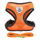 Coleira Ajustável para Cães e Gatos – StreetPet™