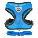 Coleira Ajustável para Cães e Gatos – StreetPet™